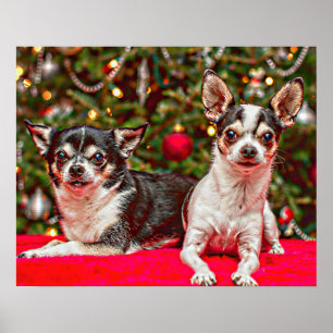 Poster Noël au Chihuahua