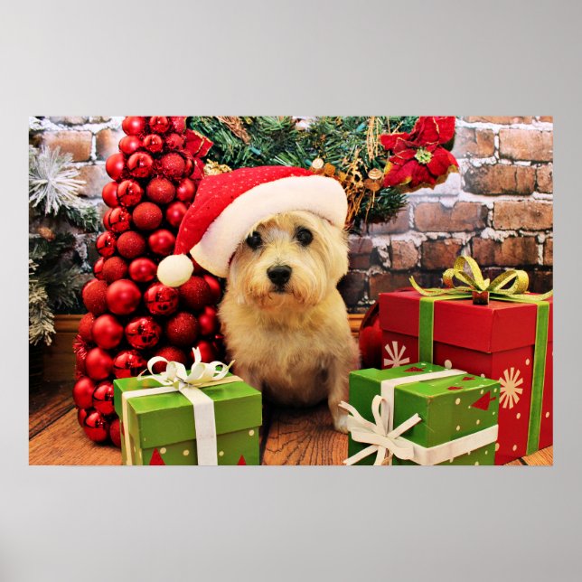 Poster Noël - Cairn Terrier - Roxy (Devant)