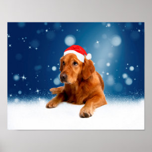 Poster Noël Mignonne Golden Retriever Chien Santa Hat Nei