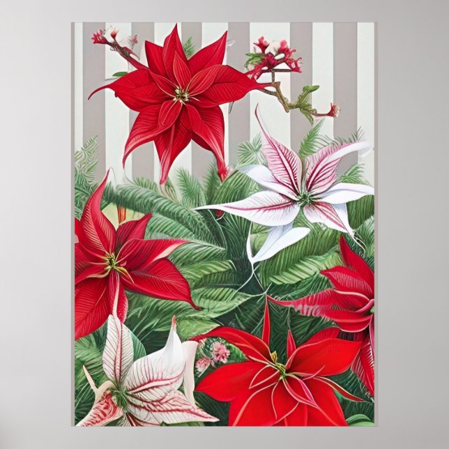 Poster Noël Rouge Amaryllis et Poinsettias (Devant)