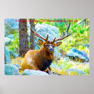 Poster Noël Salutations du chasseur Rassembleur dans ma v
