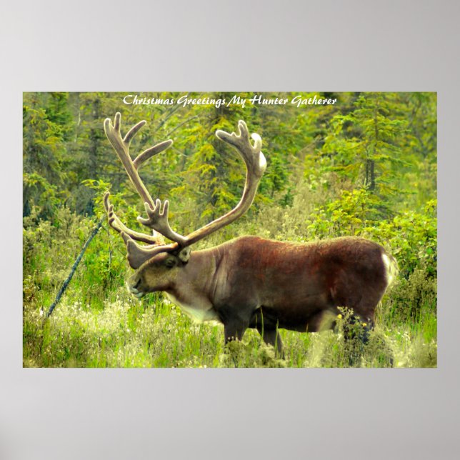 Poster Noël Salutations Mon Hunter Gatherer (Devant)