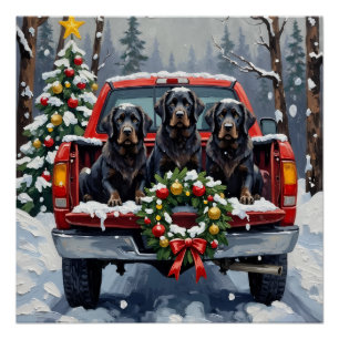 Poster Noël Terre-Neuve Noir Camion Rouge Fêtes