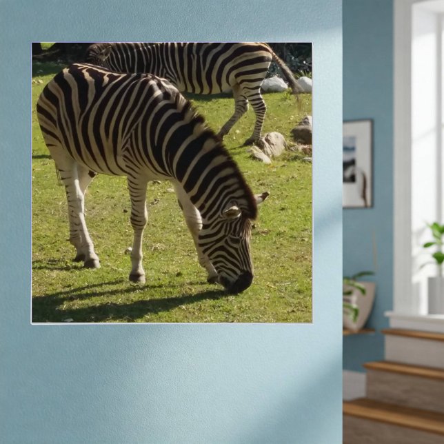 Poster noir blanc rayé Zebras Photo Glossy (On Wall)