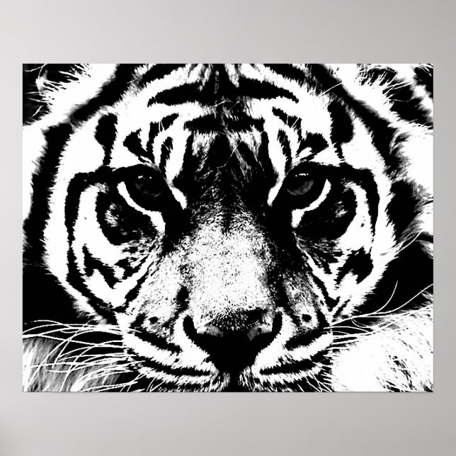 Poster noir blanc Tiger Eyes Imprimer (Devant)