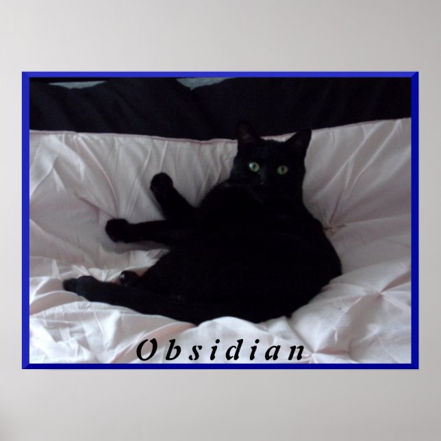Poster noir de chat "Obsidian" (Devant)