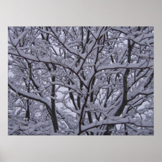 Poster Noir et blanc