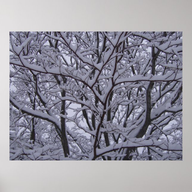 Poster Noir et blanc (Devant)