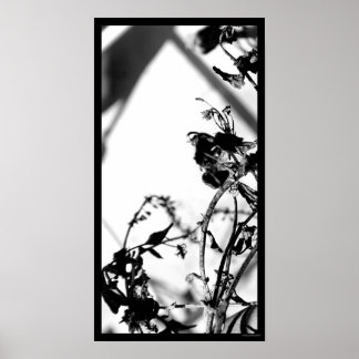 Poster noir et blanc 001