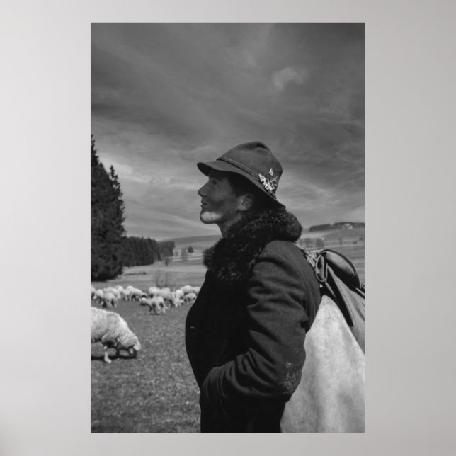 Poster Noir et blanc 1968 Herder allemand de mouton (Devant)