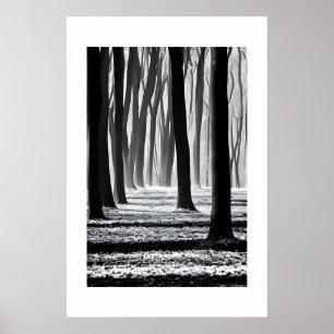 Poster Noir et blanc, création de motifs forestiers.