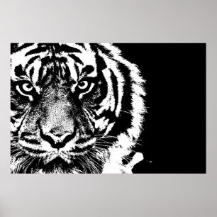 Poster Noir et blanc Sumatran Borneo Tiger