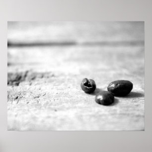 Poster Noir et blanc Trois grains de café entiers foncés 