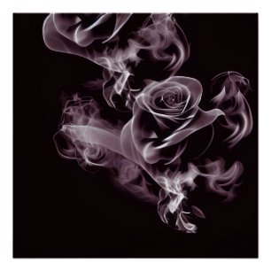Poster Noir - rose blanche - abstrait.