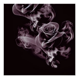 Poster Noir - rose blanche - abstrait.