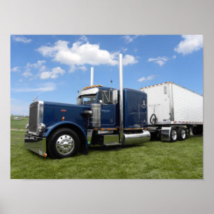 Poster Nolt 359 (couleur naturelle)