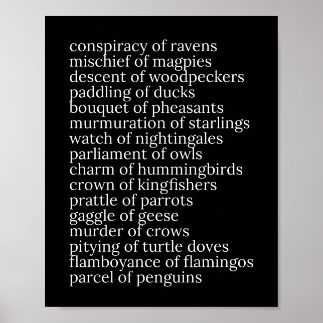 Poster Nombres collectifs d'oiseaux Noir et Blanc (Devant)