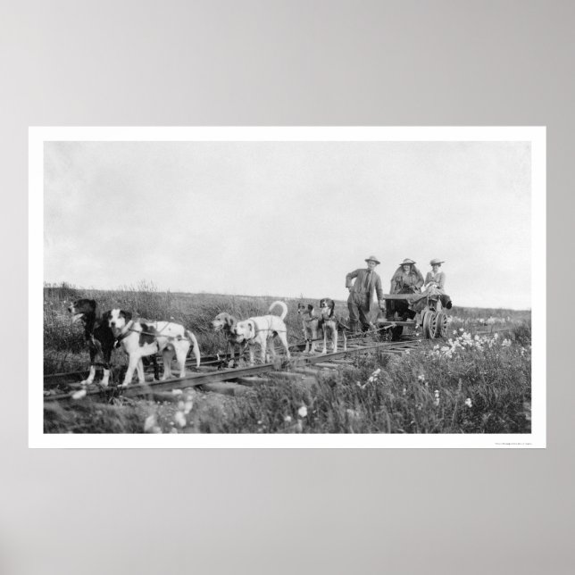 Poster Nome du train de marionnettes, Alaska 1906 (Devant)