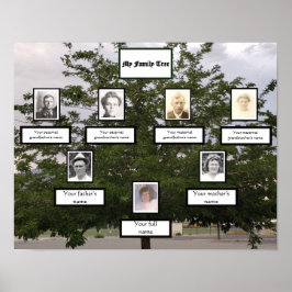 Poster Noms photo de l'arbre généalogique 3 génération en