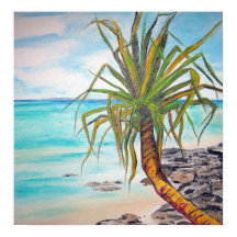 Noosa Pandanas