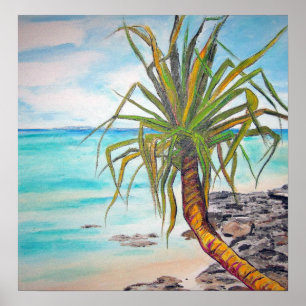 Poster Noosa Pandanas