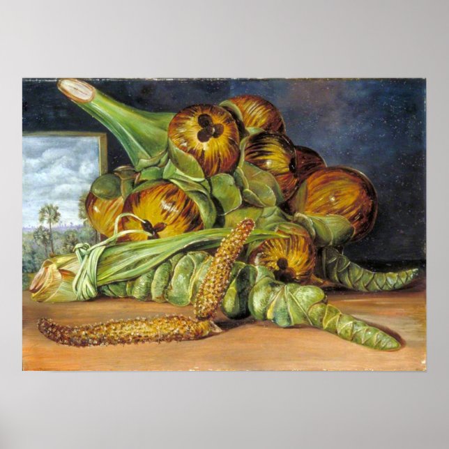Poster Nord - Fleurs, Fruits, Palmier Palmyra, Java 1870 (Devant)