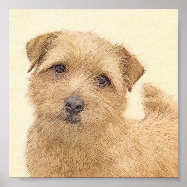 Poster Norfolk Terrier Peinture - Art Chien original (Devant)