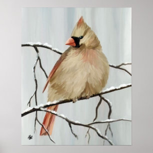 Poster Northern Cardinal Bird In Winter