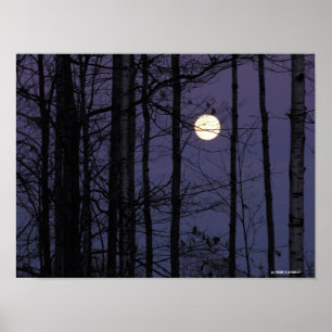 Poster Northwoods Moon.