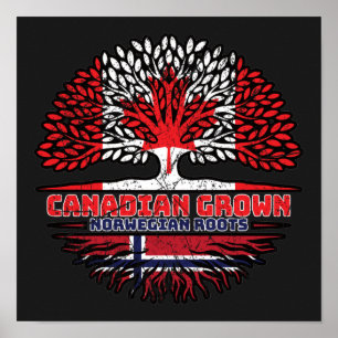Poster Norvège Norvégien Canadien Drapeau des racines de 