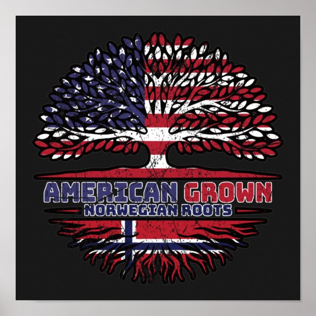 Poster Norway Norvège (Devant)