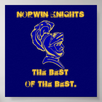 Poster Norwin Knights