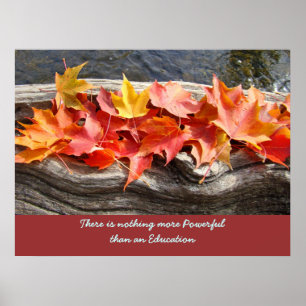 Poster Nothing more Powerful than an Education art prints