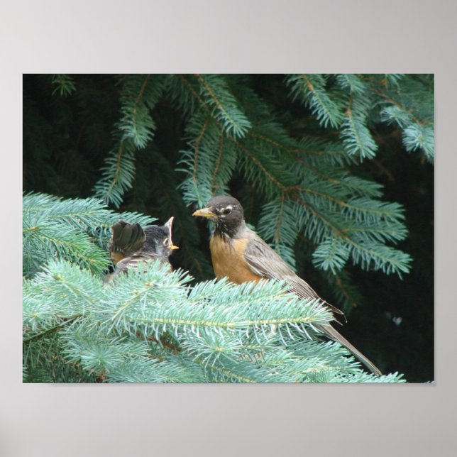 Poster Nourrir bébé (Devant)