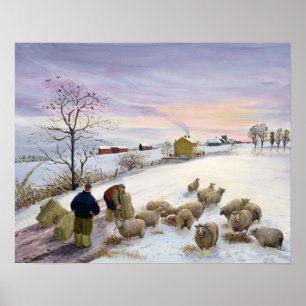 Poster Nourrir des moutons en hiver