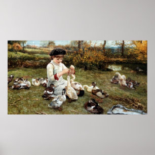 Poster Nourrir les canards