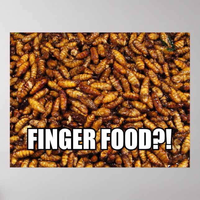 POSTER NOURRITURE À MANGER AVEC LES DOIGTS?! MEME (Devant)