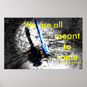 Poster Nous sommes tous censés briller