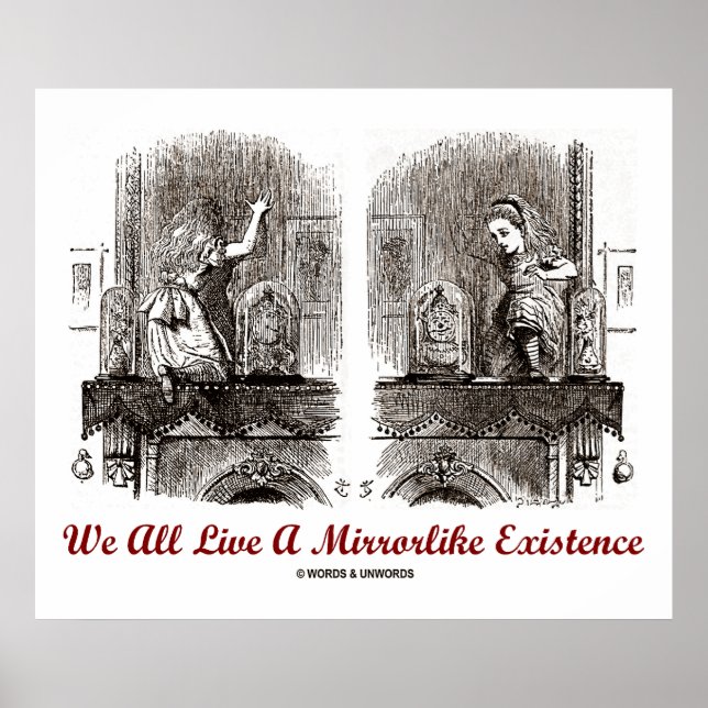 Poster Nous Vivons Tous Une Existence Mirrorlike (Wonderl (Devant)
