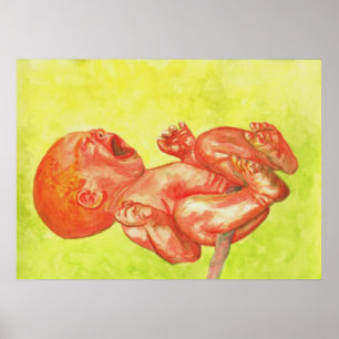 Poster Nouveau bébé Born Wailer