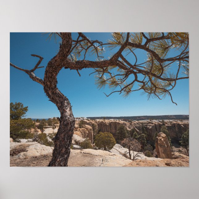 Poster Nouveau-Mexique Photographie du paysage (Devant)