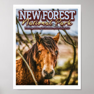POSTER NOUVEAU PARC NATIONAL DE LA FORÊT - NOUVELLE FORÊT