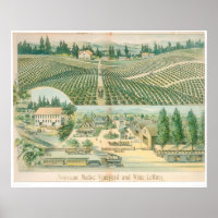 Nouveau vignoble et caves à vin du Médoc (1213A)
