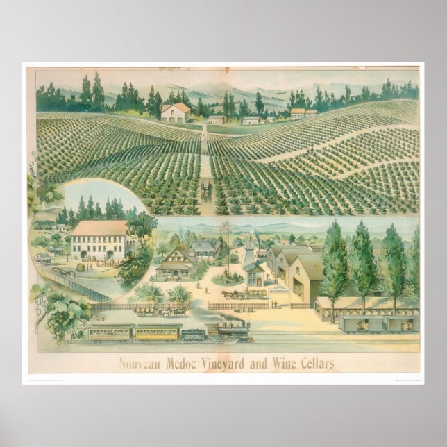 Poster Nouveau vignoble et caves à vin du Médoc (1213A) (Devant)