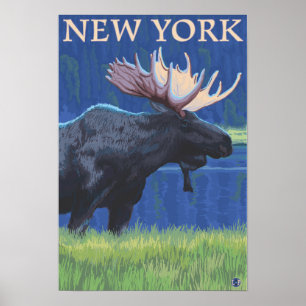Poster Nouveau YorkMoose dans le clair de lune