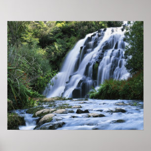 Poster Nouvelle-Zélande, île du Nord, Karangahake Gorge,
