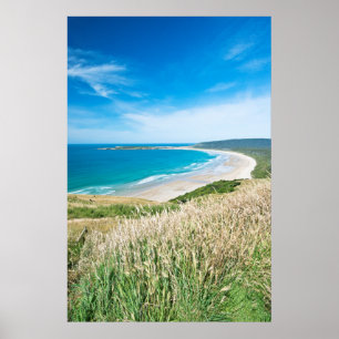 Poster Nouvelle-Zélande, île du Sud, Catlins, baie de Tau