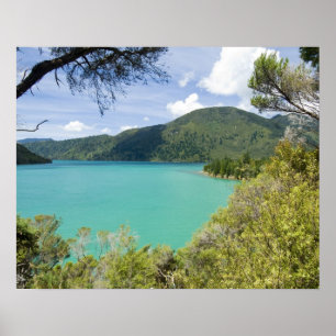 Poster Nouvelle-Zélande, île du Sud, Marlborough Sounds.