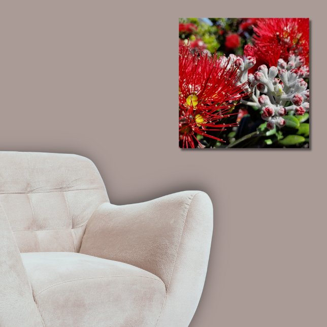 Poster Nouvelle-Zélande Pohutukawa Arbre Rouge Blossom (New Zealand Pohutukawa Tree Red Blossom Poster, Living Room)