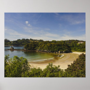 Poster Nouvelle-Zélande, Southland, Stewart Island, Halfm